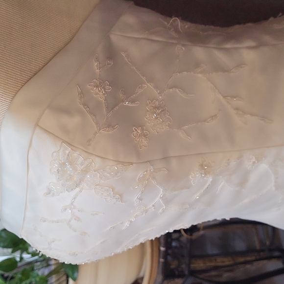 Size 12 Strapless Wedding Dress - Picture 4 of 11